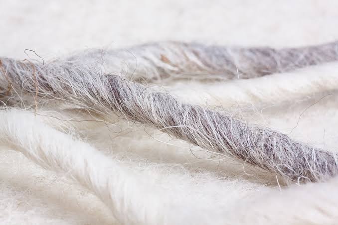 Serat wol adalah serat alami yang dihasilkan dari