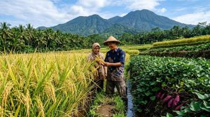 Teknik Perbanyakan Bibit Unggul Melalui Kultur Jaringan untuk Petani Modern
